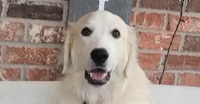 Helena thumbnail 2