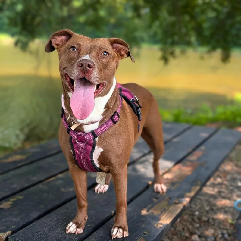 Lola Faye thumbnail 3