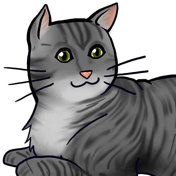 A baby small-sized male Domestic Short Hair cat named Soba for adoption in Tempe, AZ