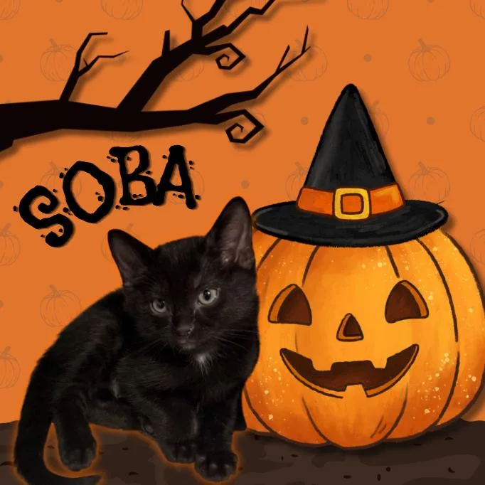 Soba thumbnail 6