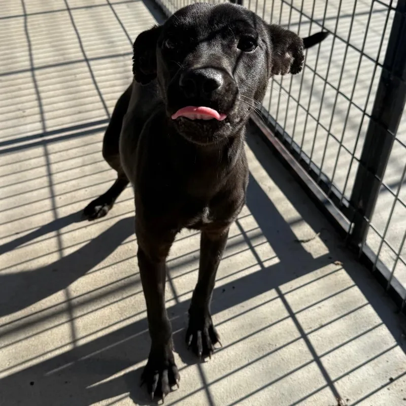 Mary Kate thumbnail 2