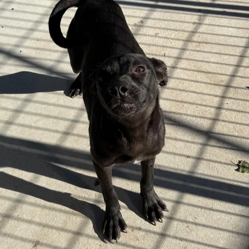 Mary Kate thumbnail 3