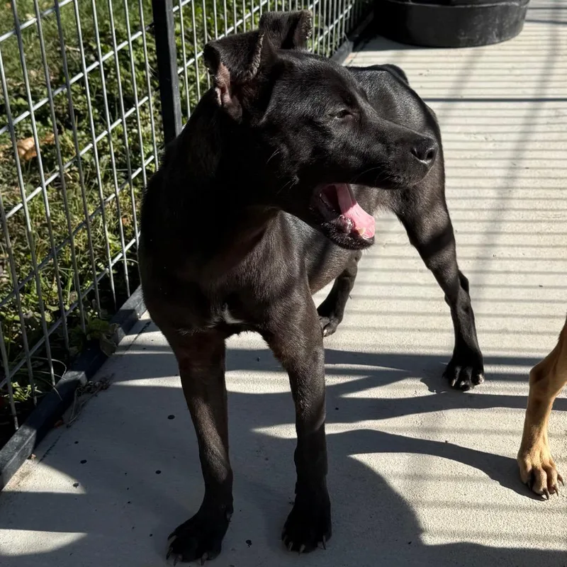 Mary Kate thumbnail 4