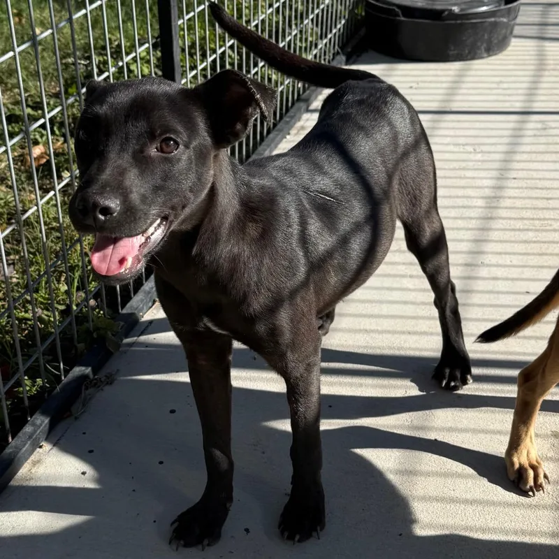 Mary Kate thumbnail 5