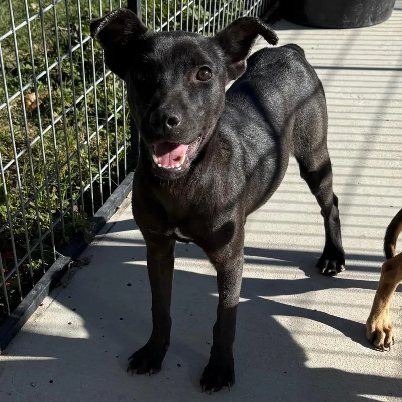 Mary Kate thumbnail 6