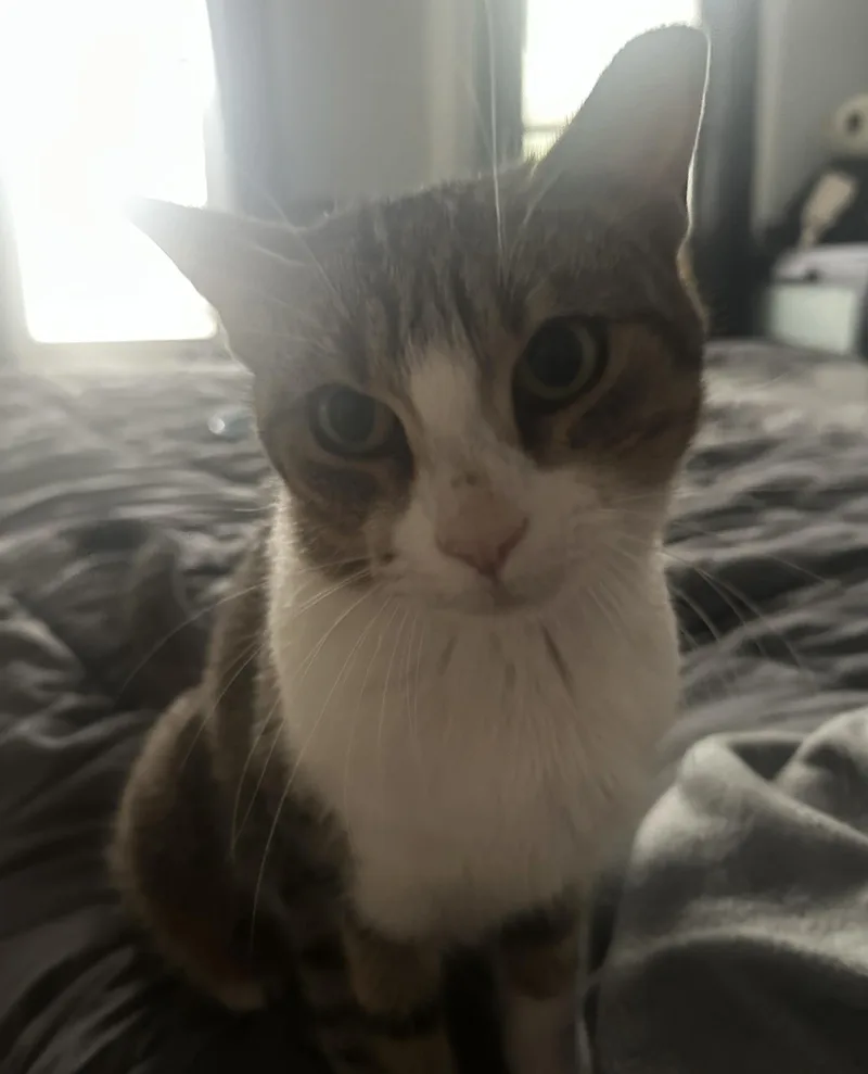 Peggy Ann thumbnail 2