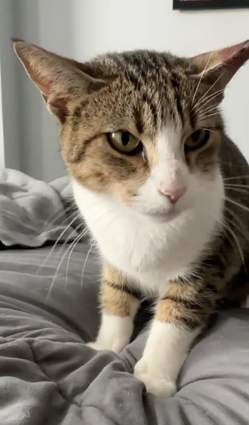 Peggy Ann thumbnail 4