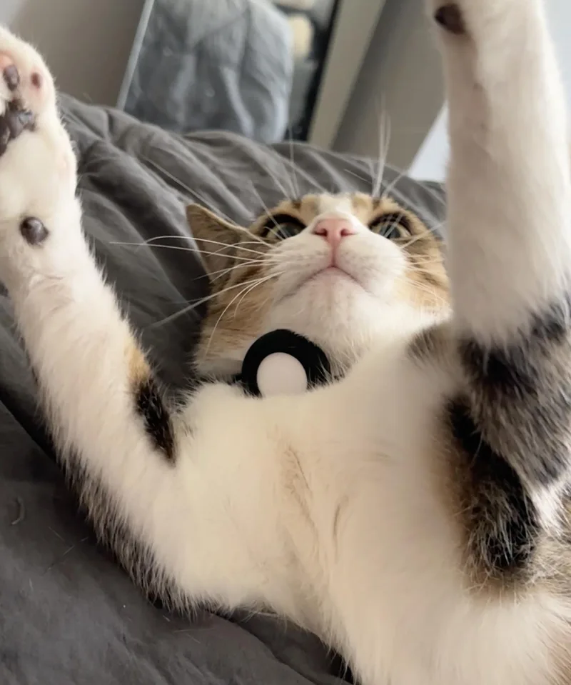 Peggy Ann thumbnail 5