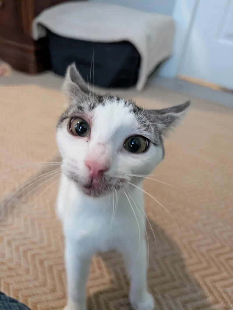 Maggie thumbnail 4