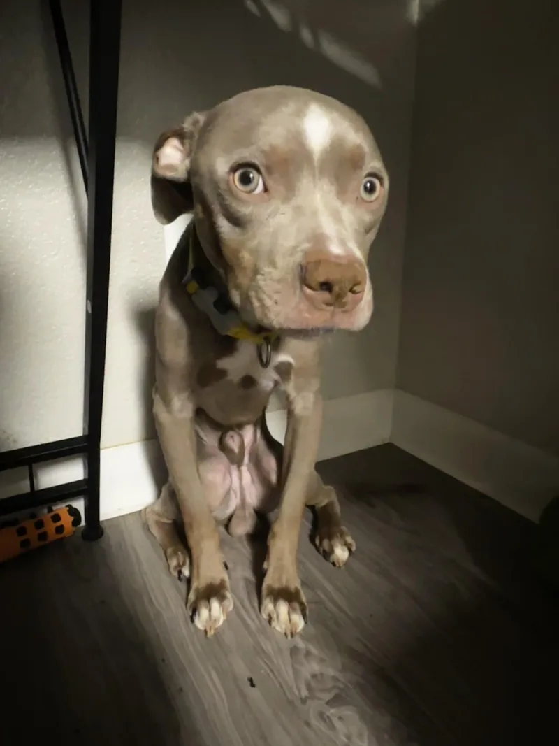 Martini aka Marty aka