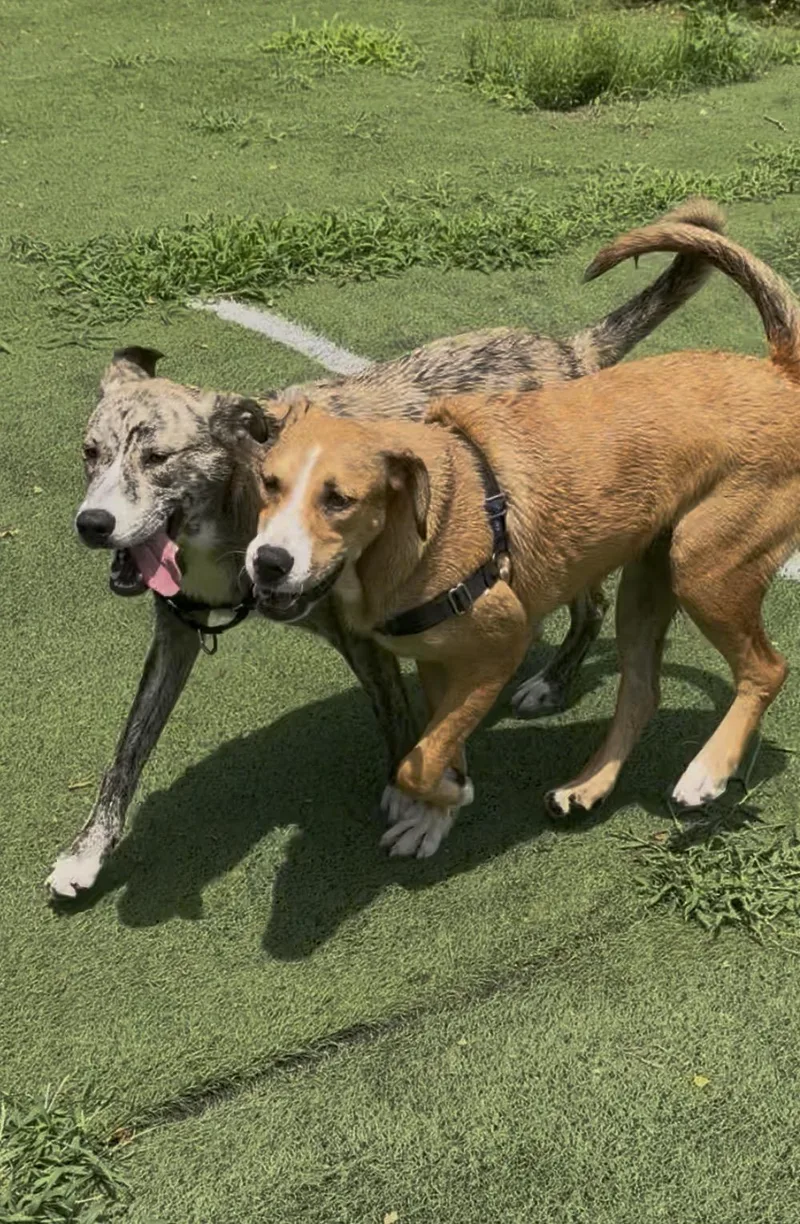 Matrix thumbnail 2