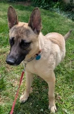 Mr Woofy thumbnail 2