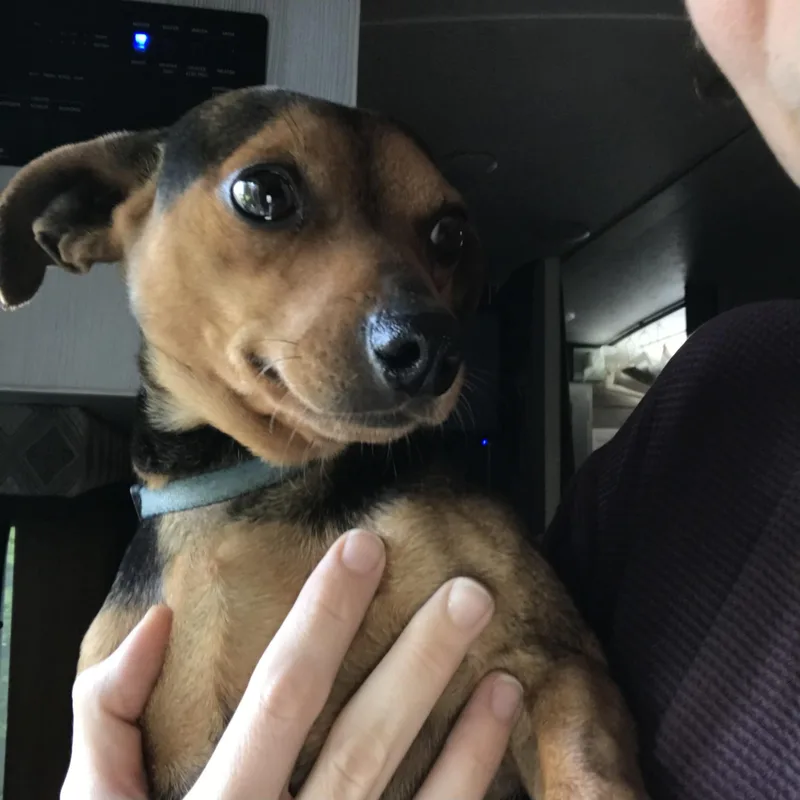 Preston & Rocco thumbnail 4