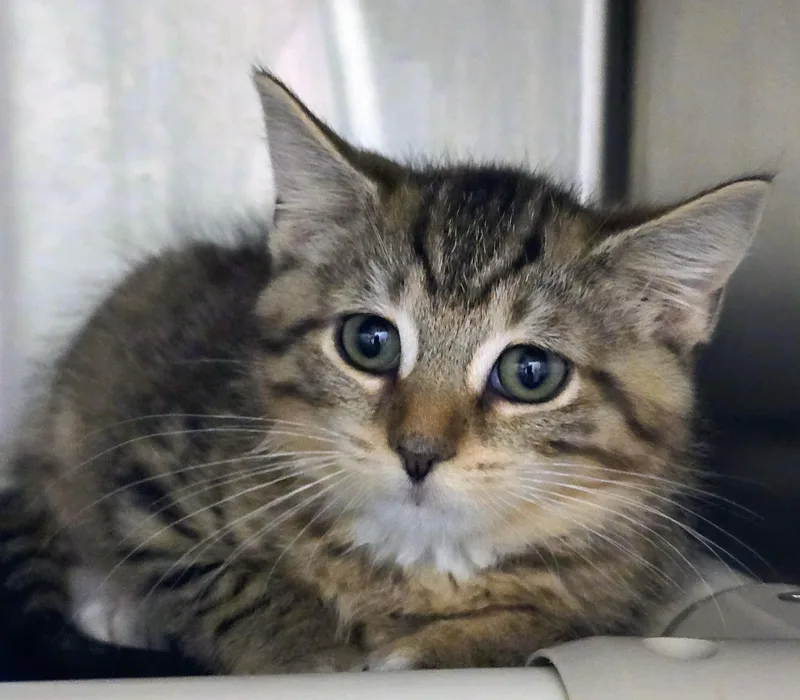 June thumbnail 4