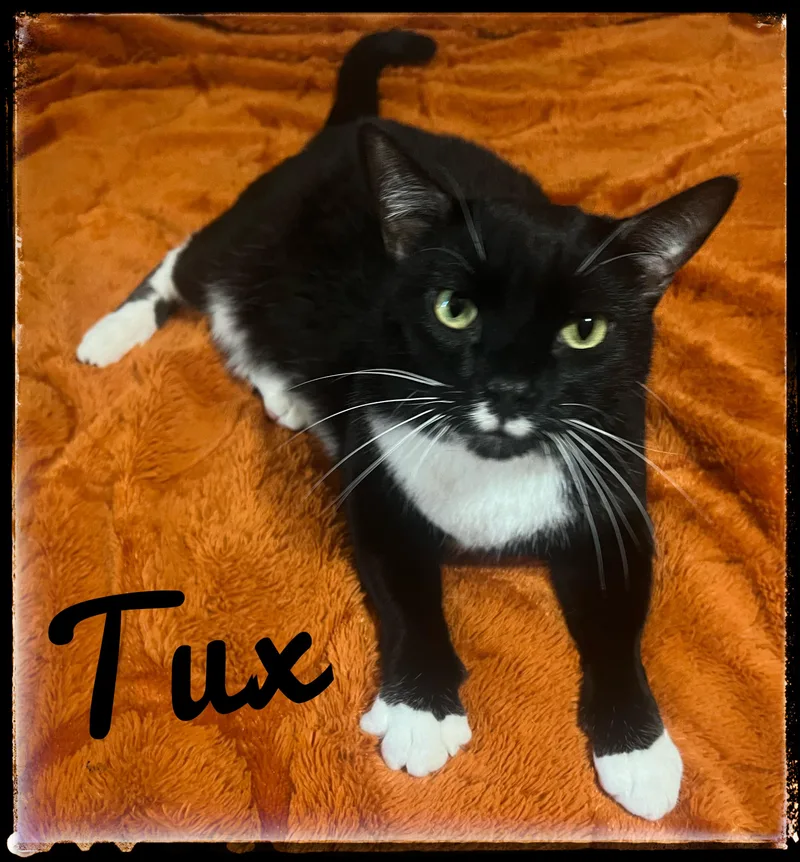 Tux