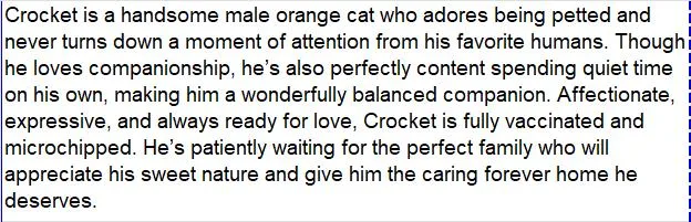 Crocket thumbnail 3