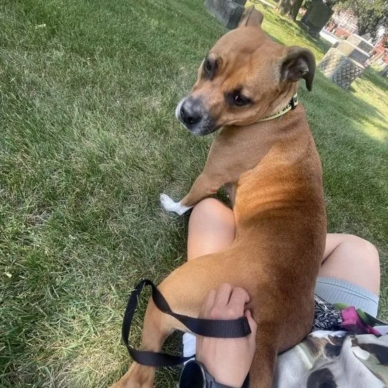 Mary Jane thumbnail 4