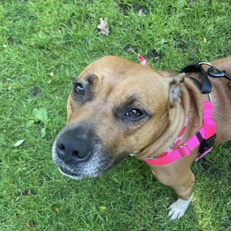 Mary Jane thumbnail 6