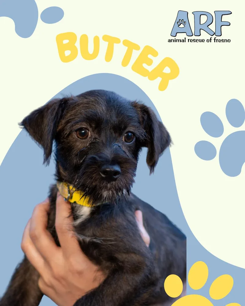 Baby Butter thumbnail 6