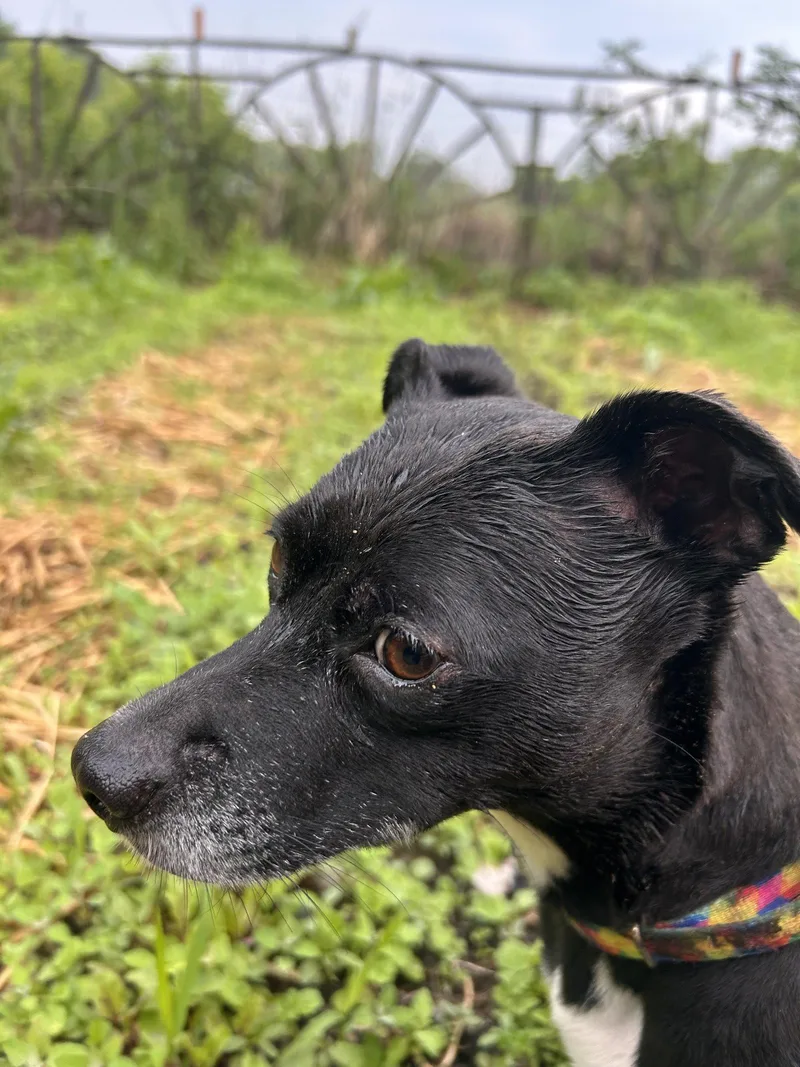 Zoe