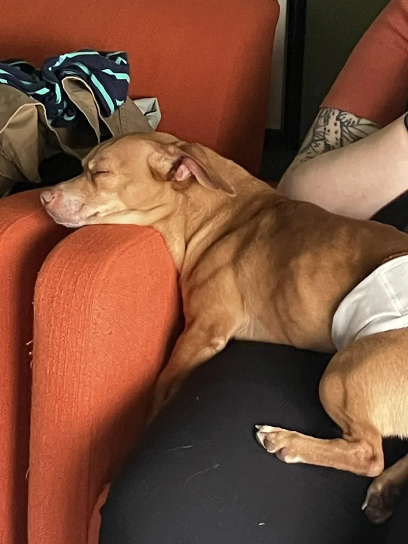 Princeton thumbnail 2