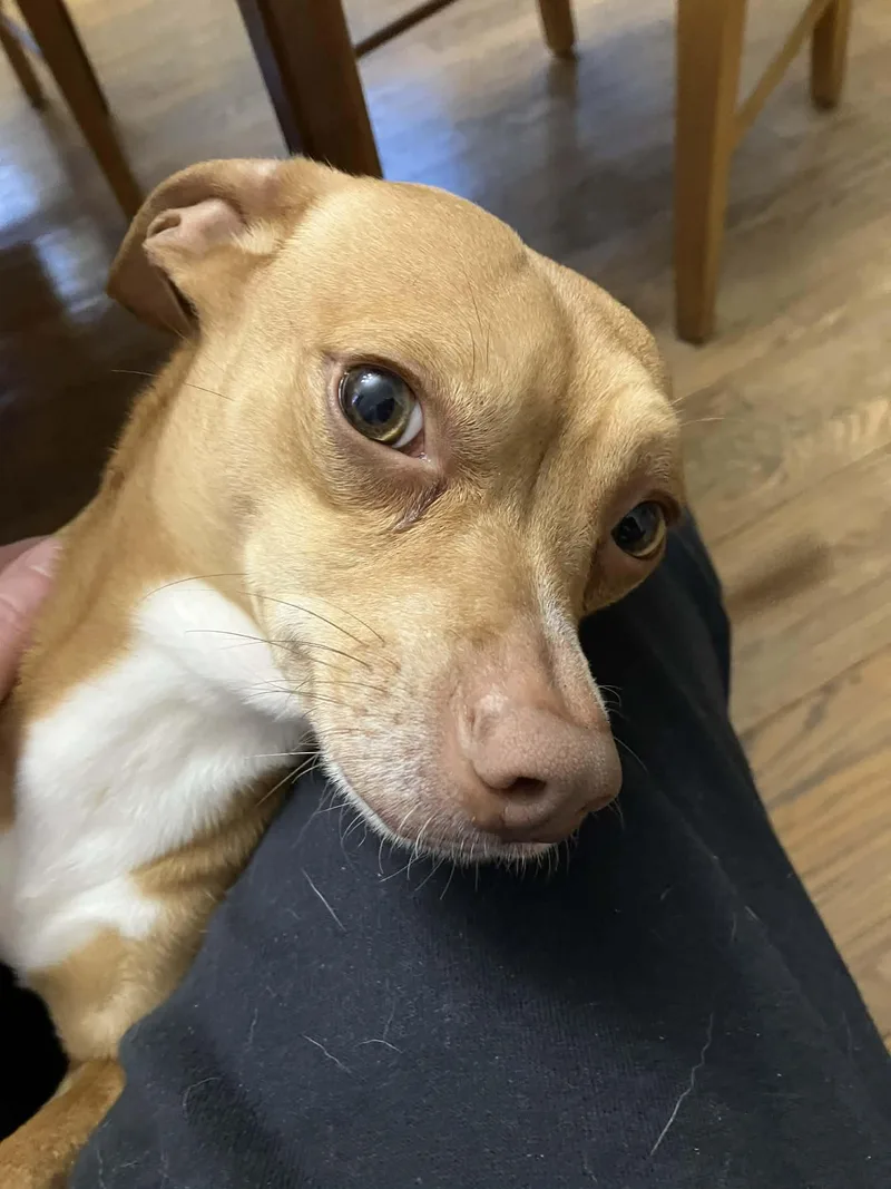 Princeton thumbnail 3