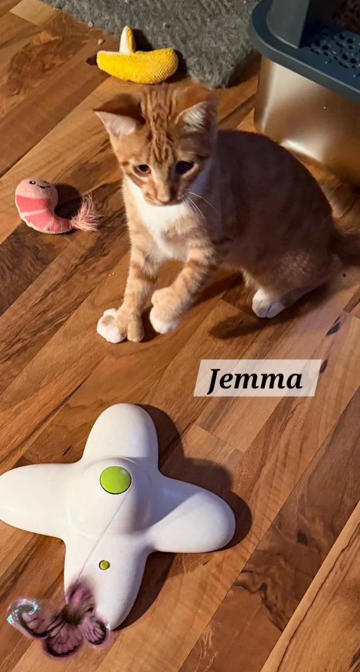 Jemma thumbnail 3