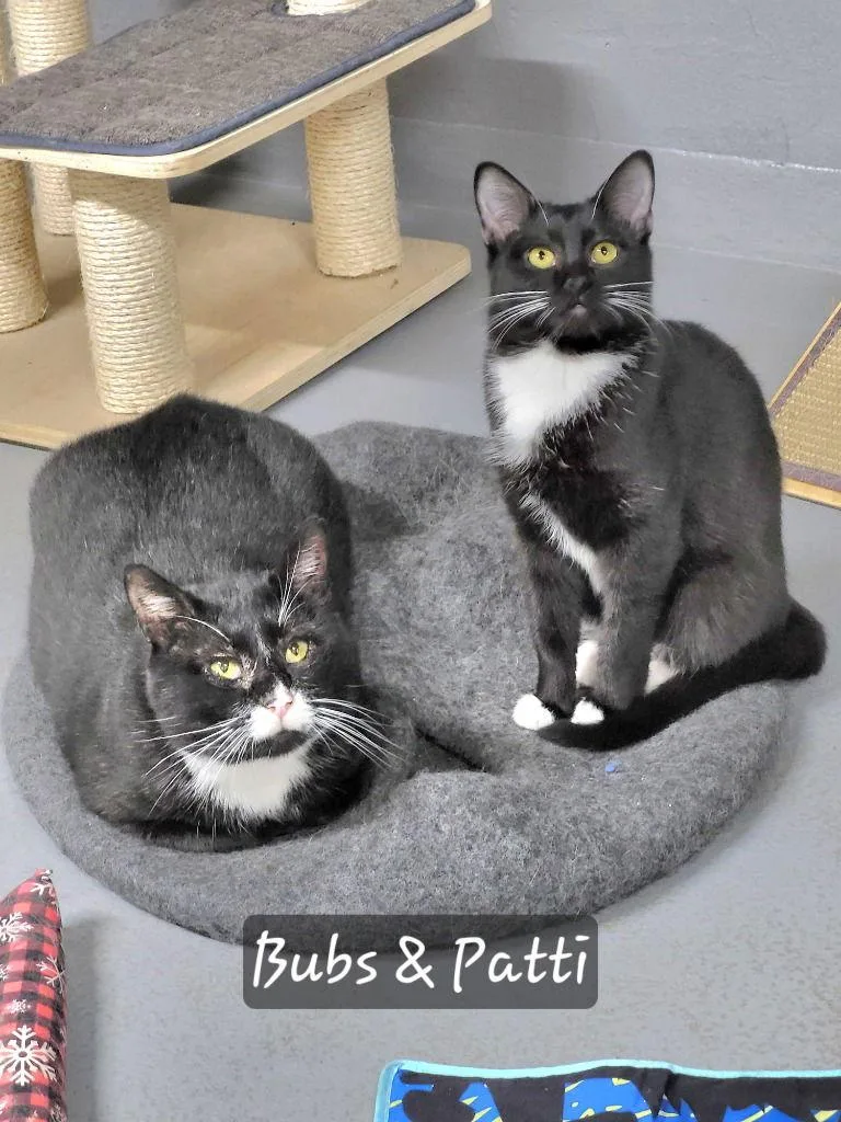 Peppermint Patti thumbnail 2