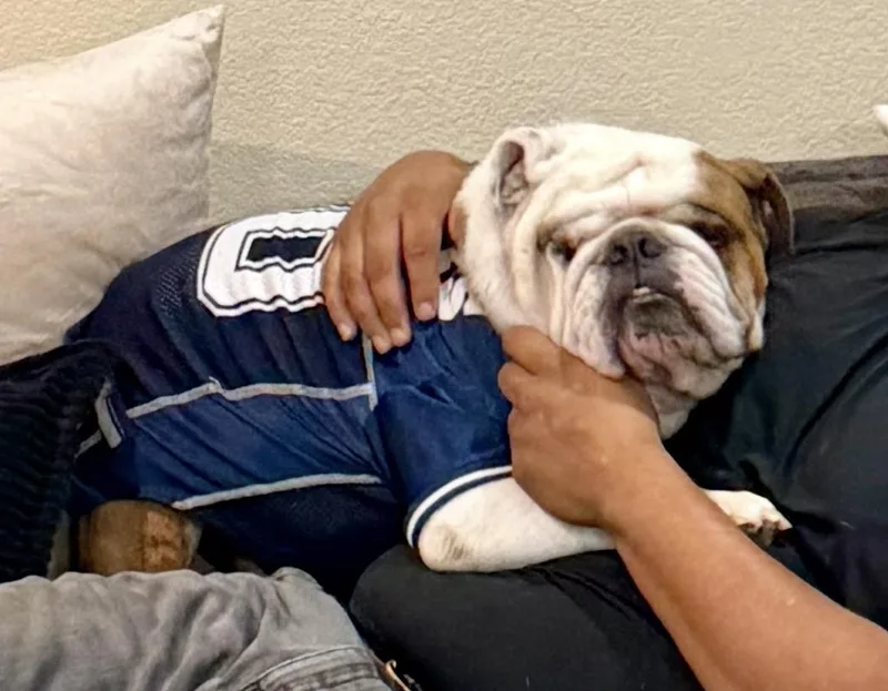 Chubbs thumbnail 2
