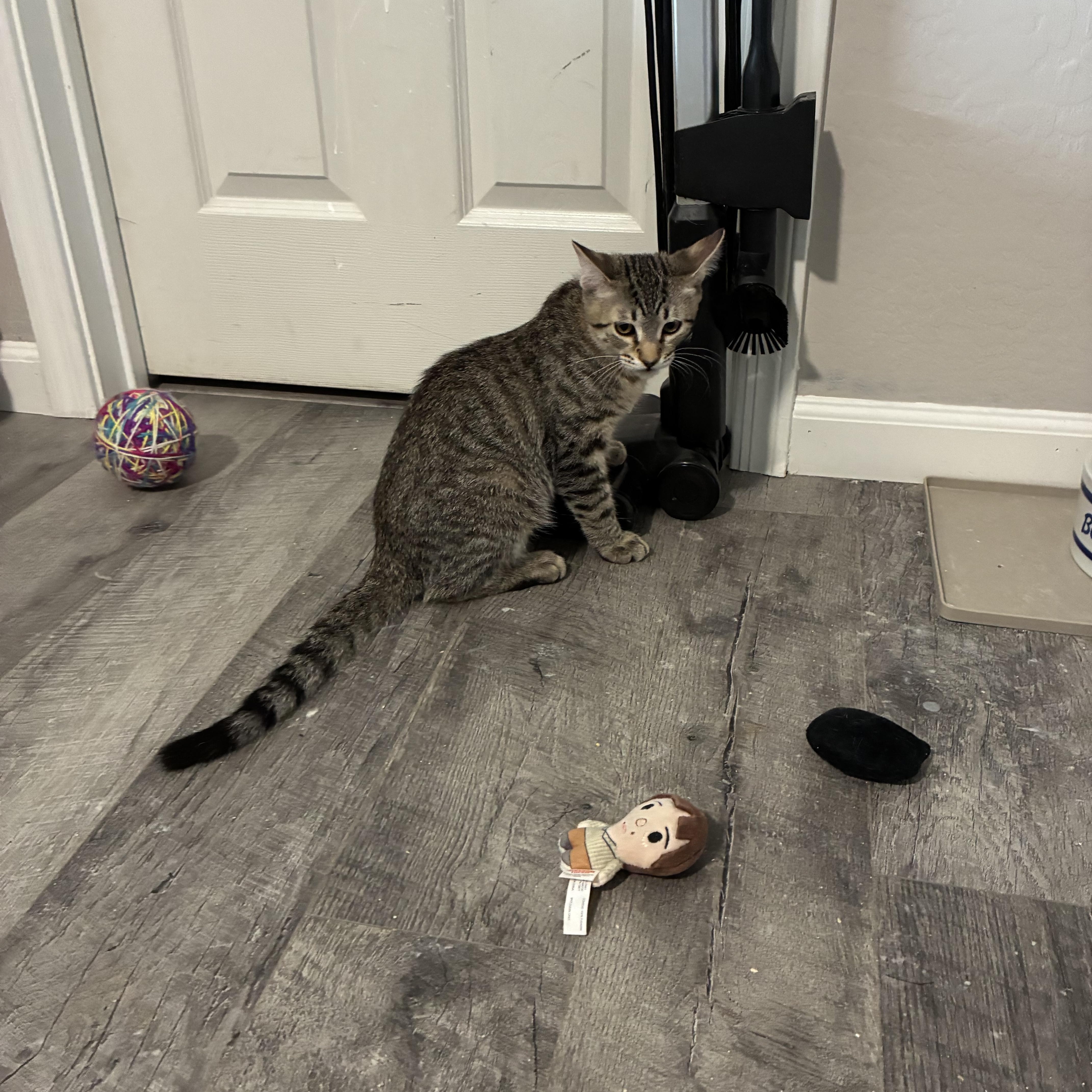 Tigger thumbnail 2