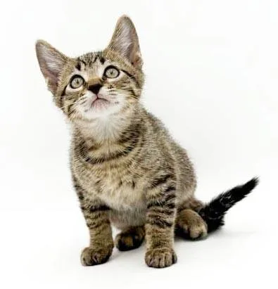 Zipper is WOW special thumbnail 5