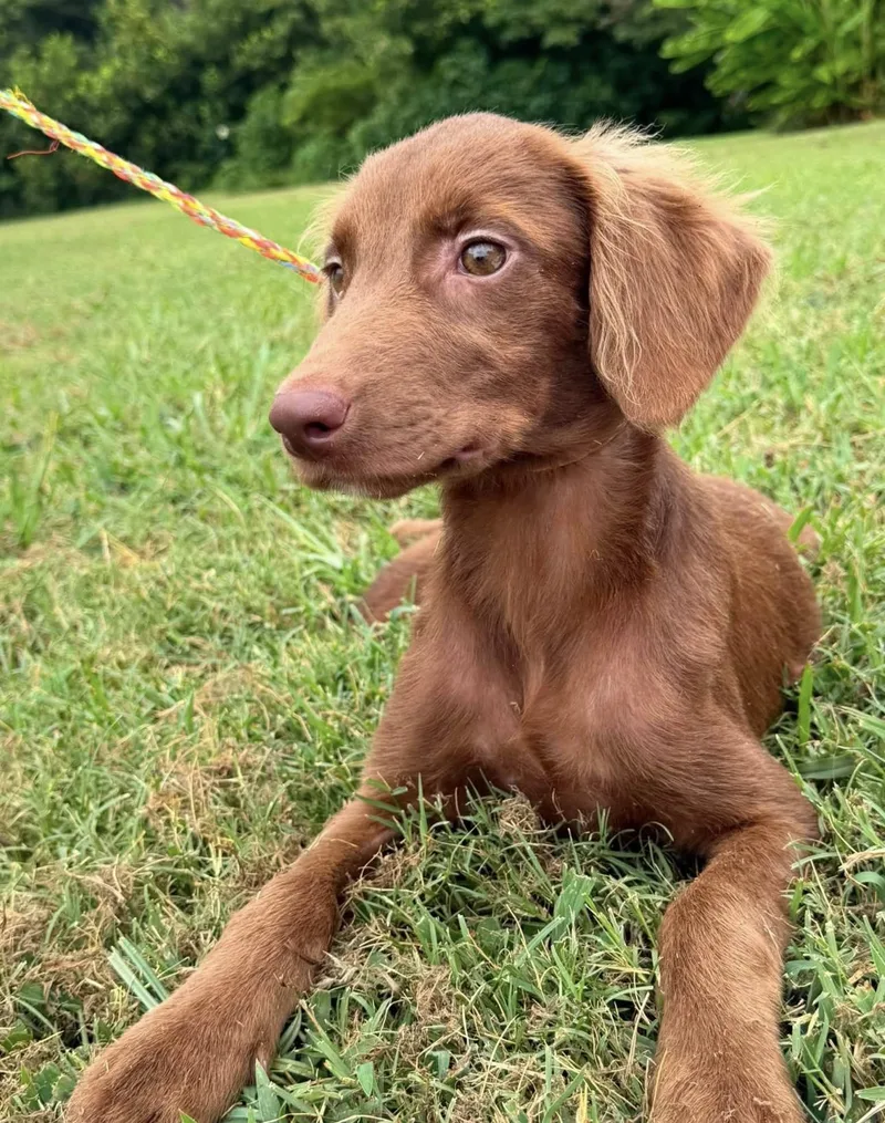 Sadie