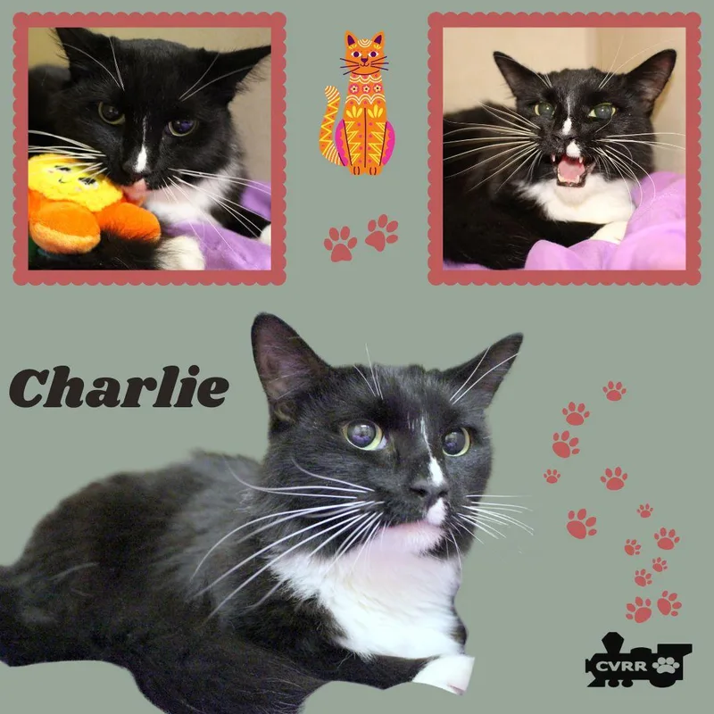 Charlie