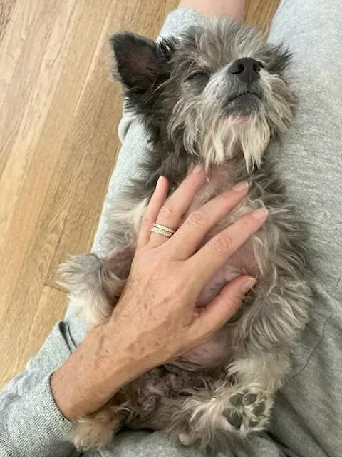 Popsicle thumbnail 5