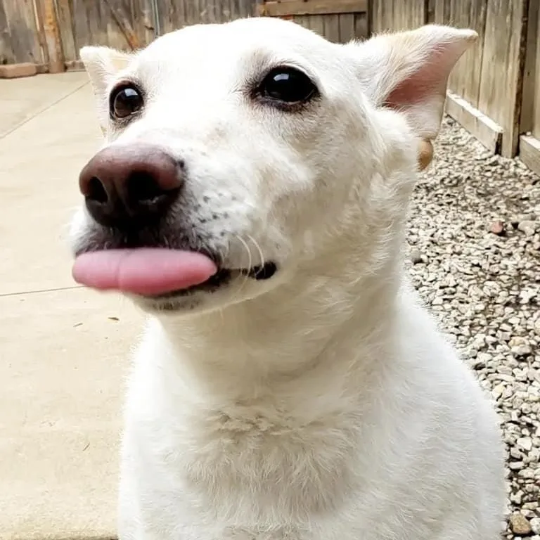 Pringles thumbnail 2