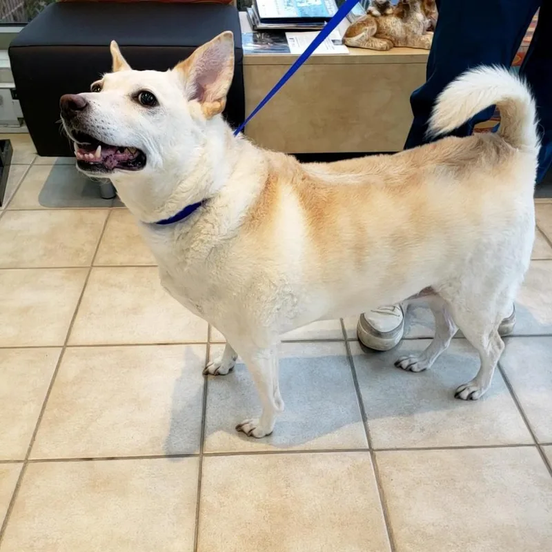 Pringles thumbnail 5