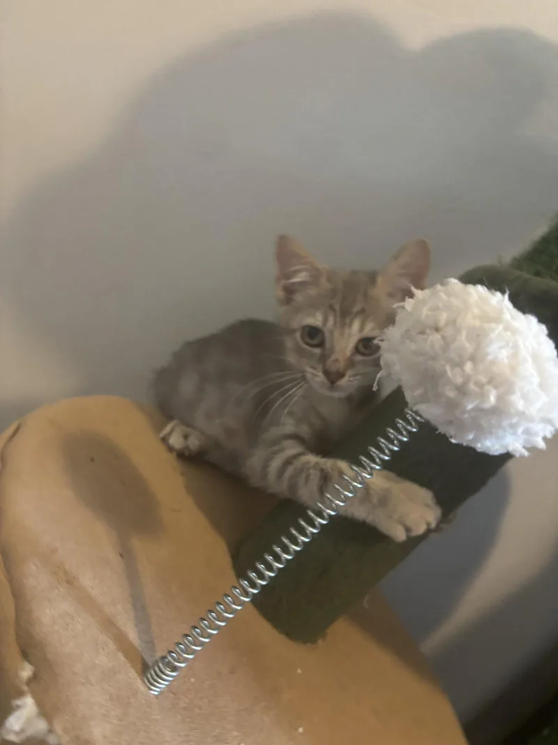 Tina