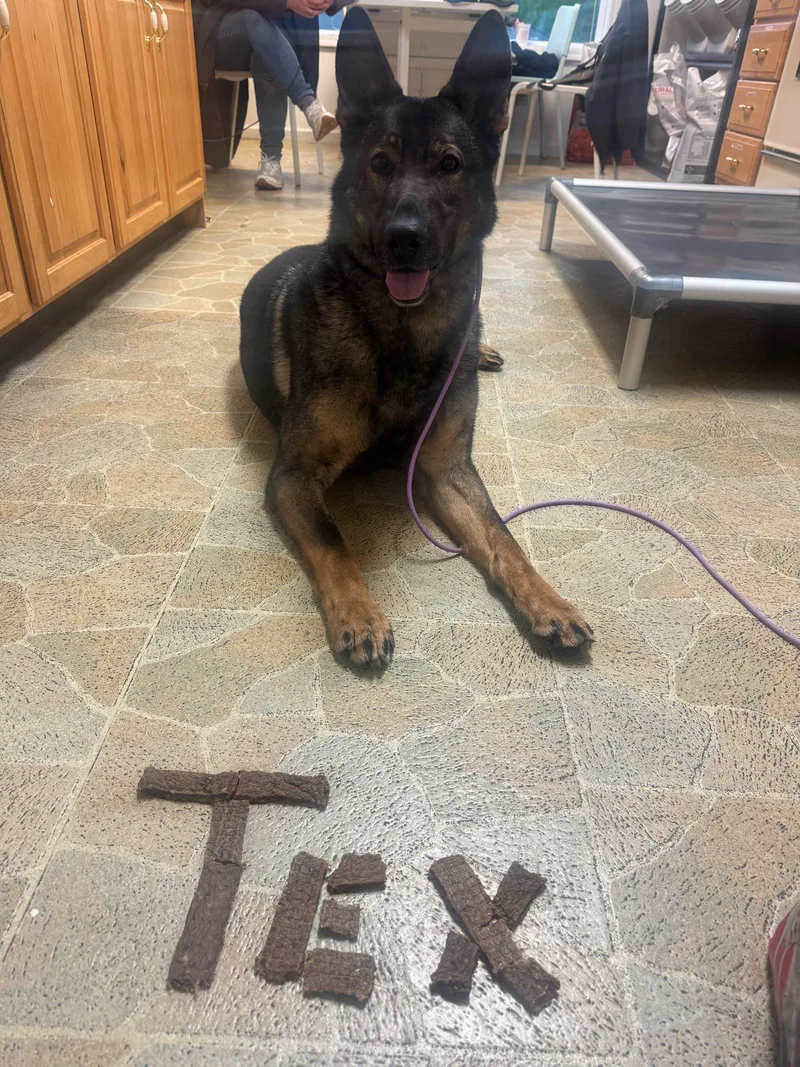 Tex thumbnail 5