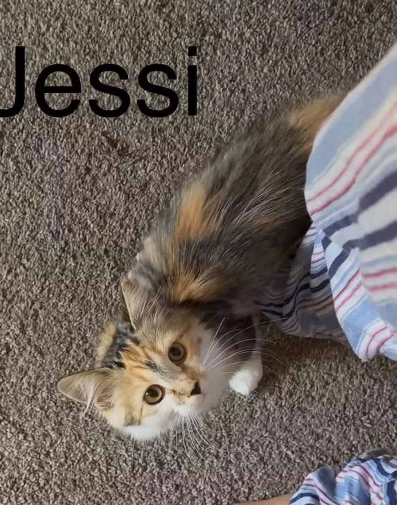 Jessi