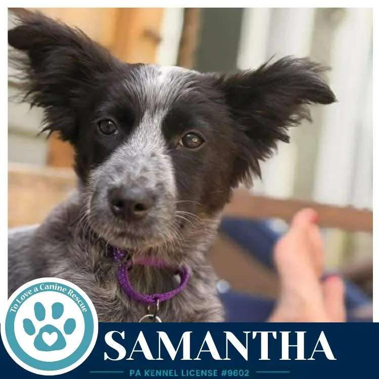 Samantha thumbnail 3
