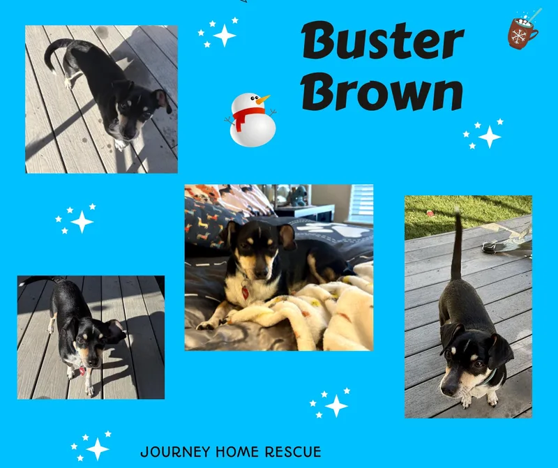 Buster Brown
