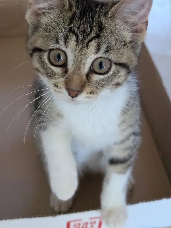 Sasha thumbnail 2