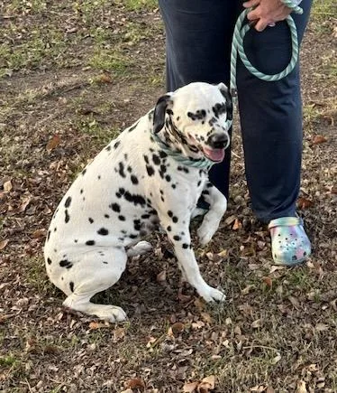 La Mocha thumbnail 3