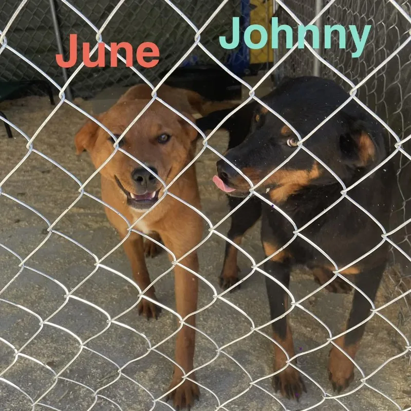 June thumbnail 4