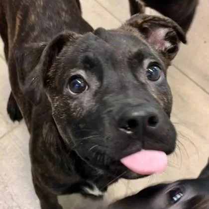 Soup Boy thumbnail 2