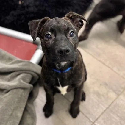 Soup Boy thumbnail 3