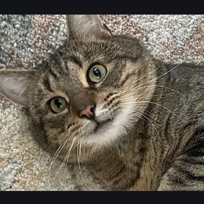 Coco Friendly With Rella