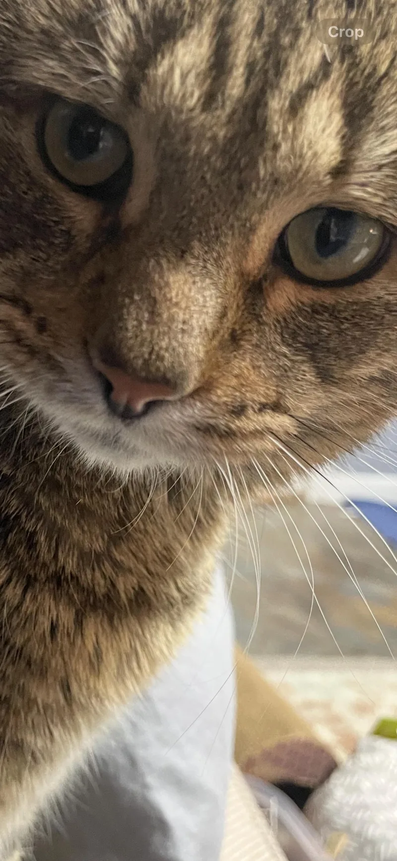 Coco Friendly With Rella thumbnail 2