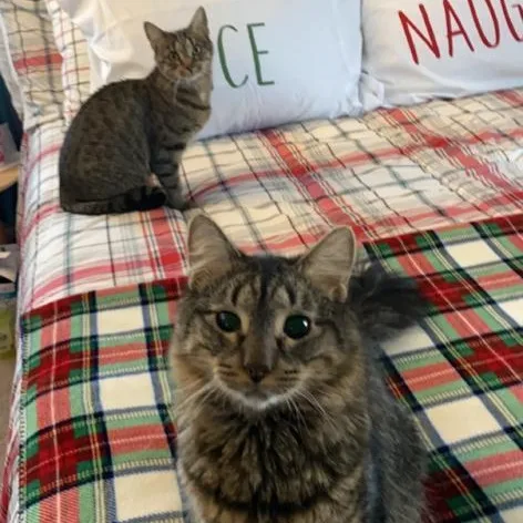 Coco Friendly With Rella thumbnail 3