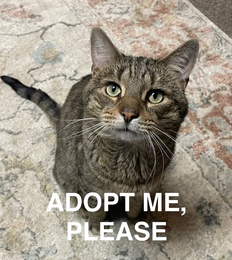 Coco Friendly With Rella thumbnail 4